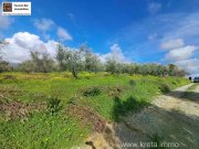 KALIVIA Kreta, Kalivaia Olivenhain 55 Bäume Ein persönlicher Rückzugsort inmitten der Natur Grundstück kaufen